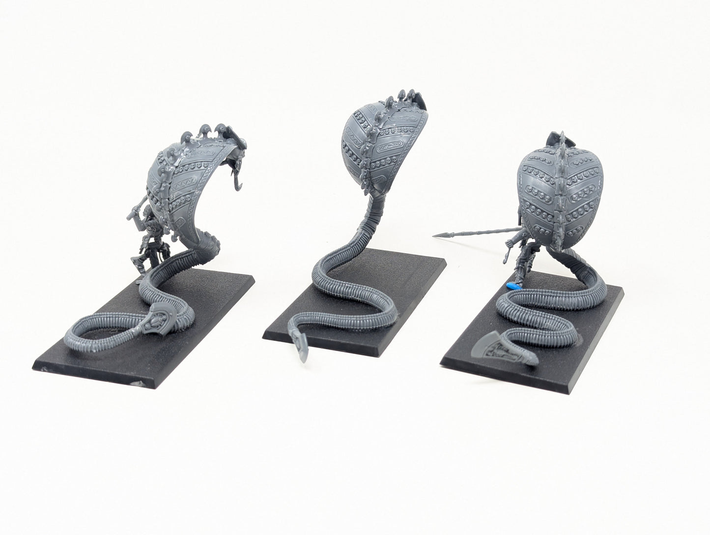 Necropolis Knights