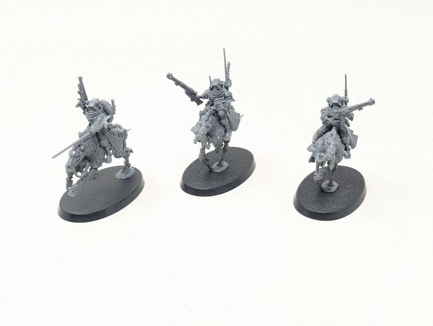 Serberys Raiders