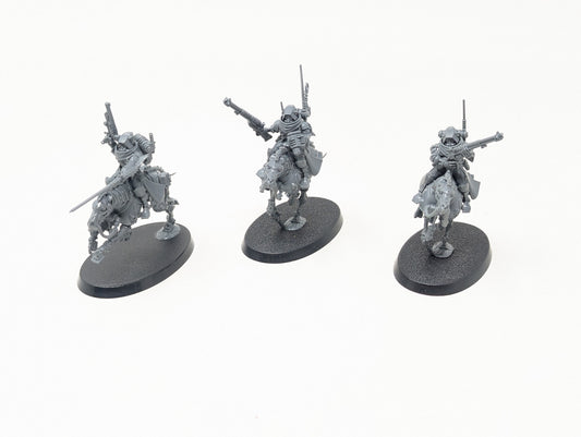 Serberys Raiders