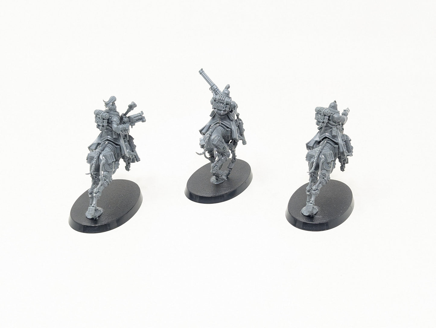Serberys Sulphurhounds