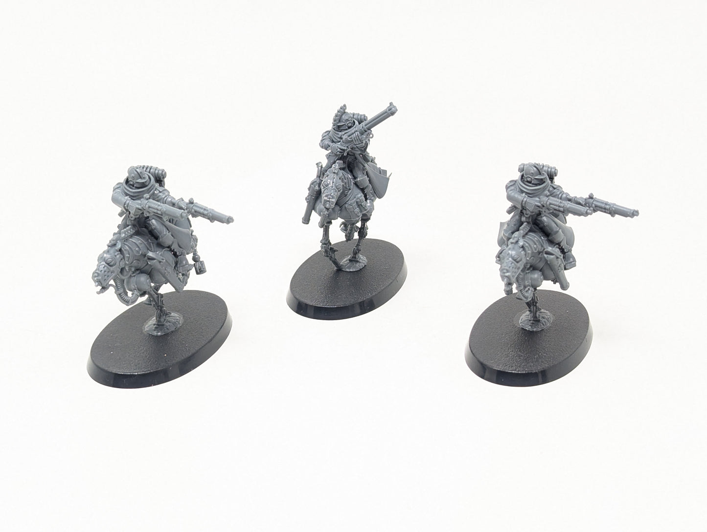 Serberys Sulphurhounds