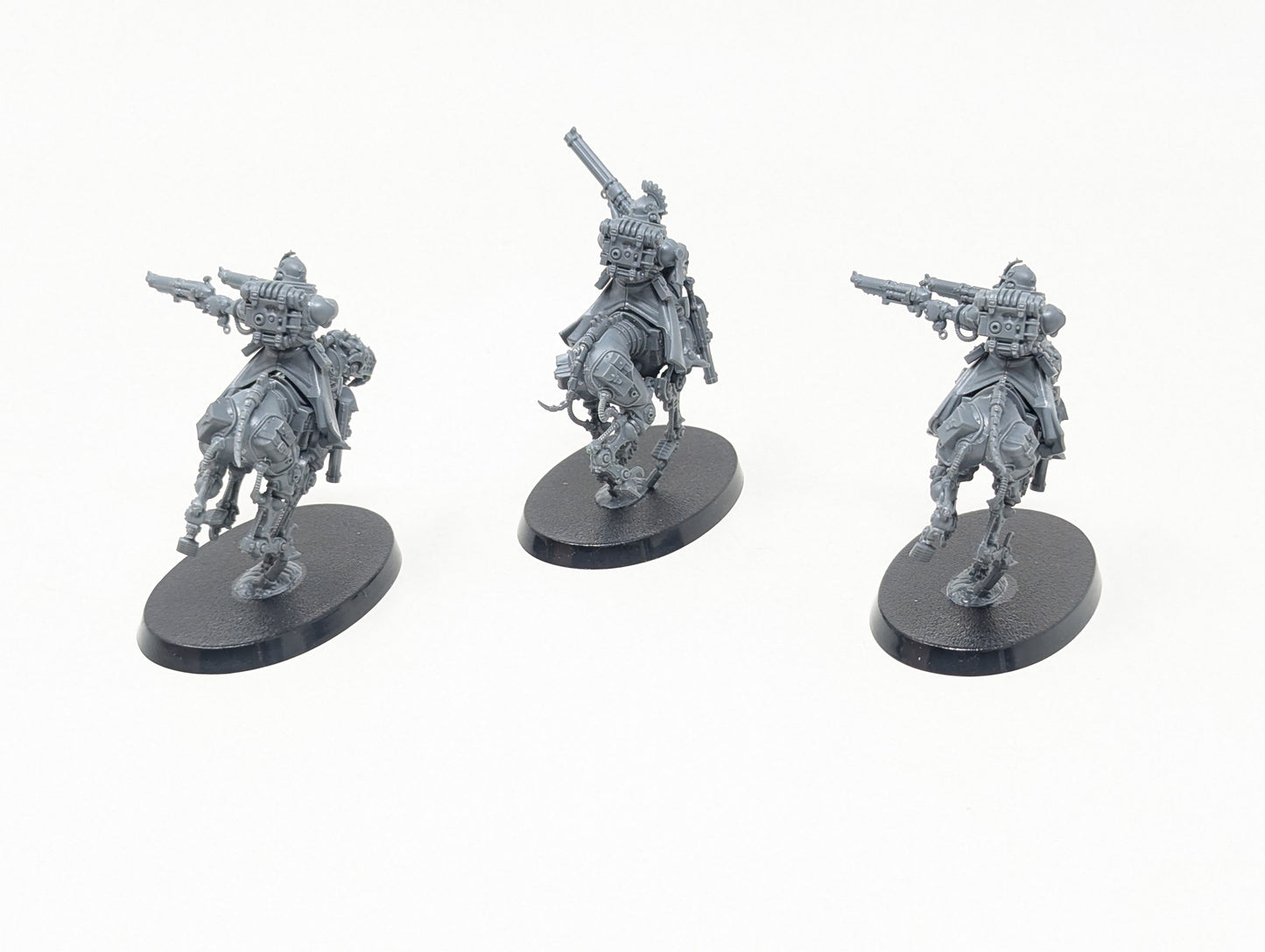 Serberys Sulphurhounds