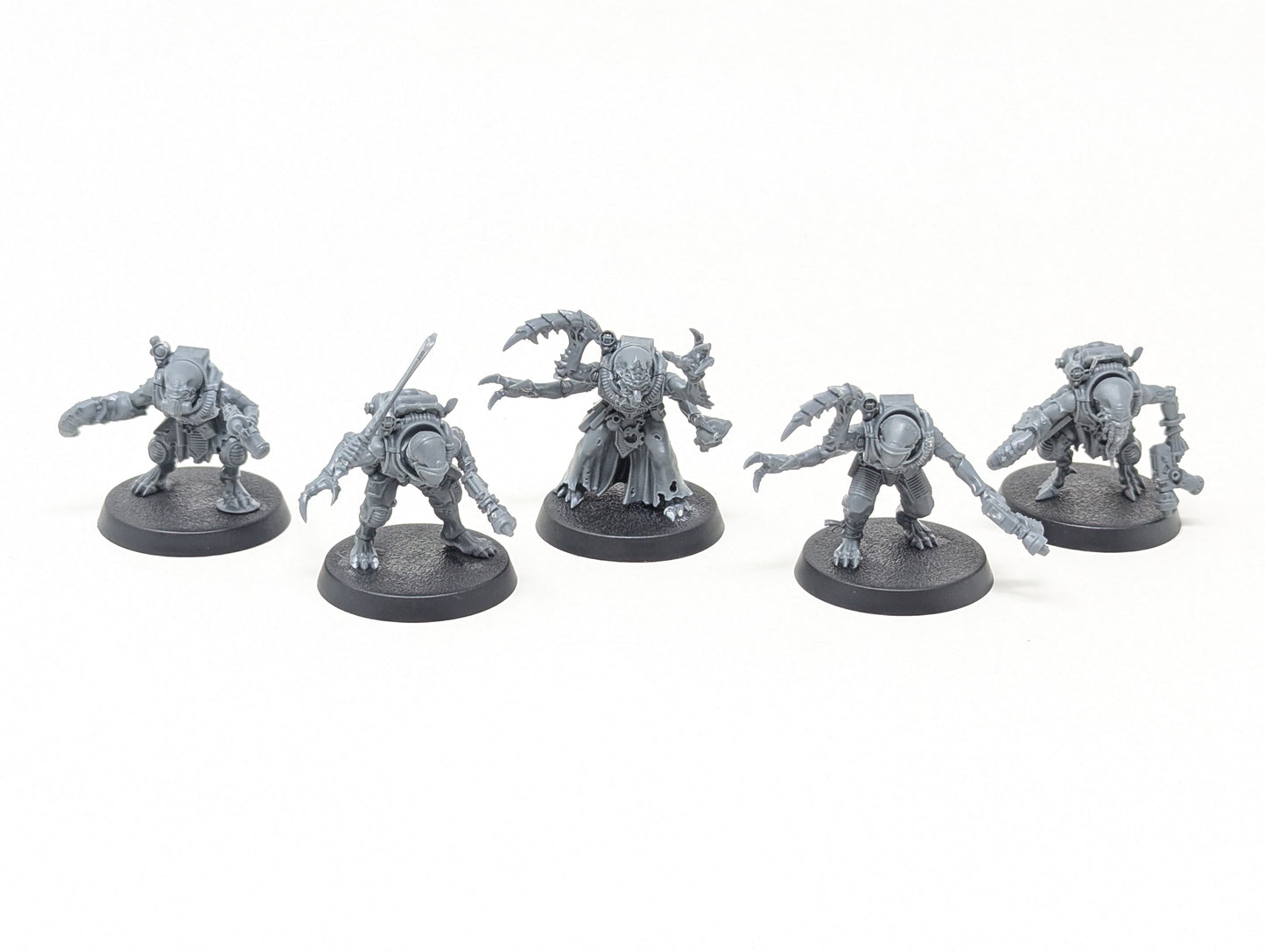 Acolyte Hybrids
