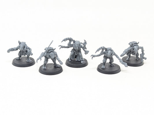 Acolyte Hybrids