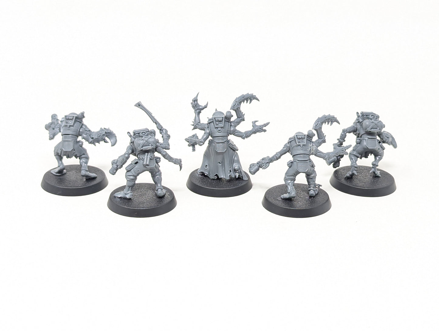 Acolyte Hybrids