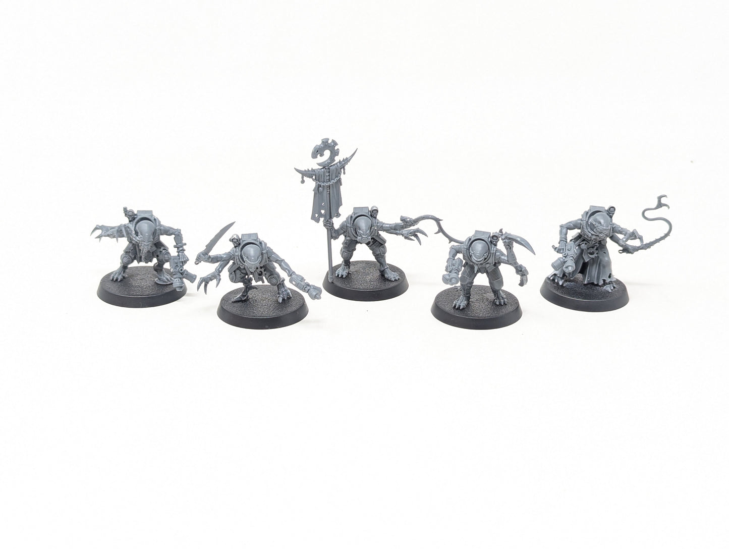 Acolyte Hybrids