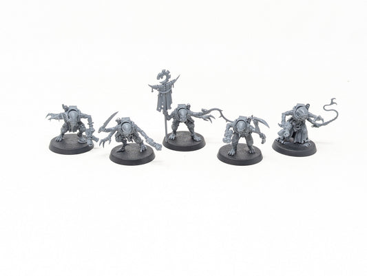 Acolyte Hybrids