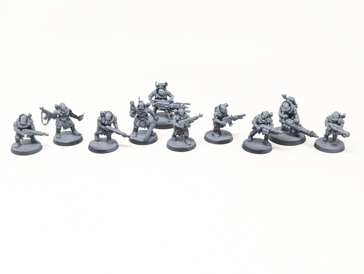 Neophyte Hybrids