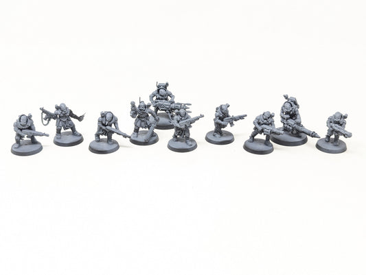 Neophyte Hybrids
