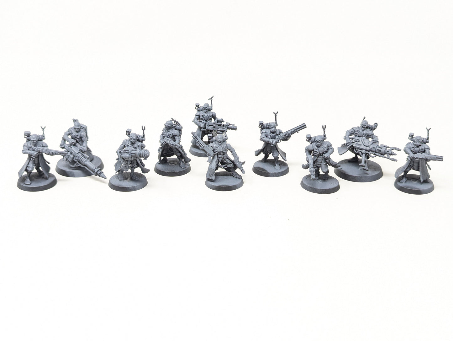 Neophyte Hybrids (Conversion)