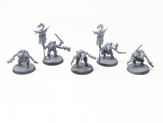 Acolyte Hybrids