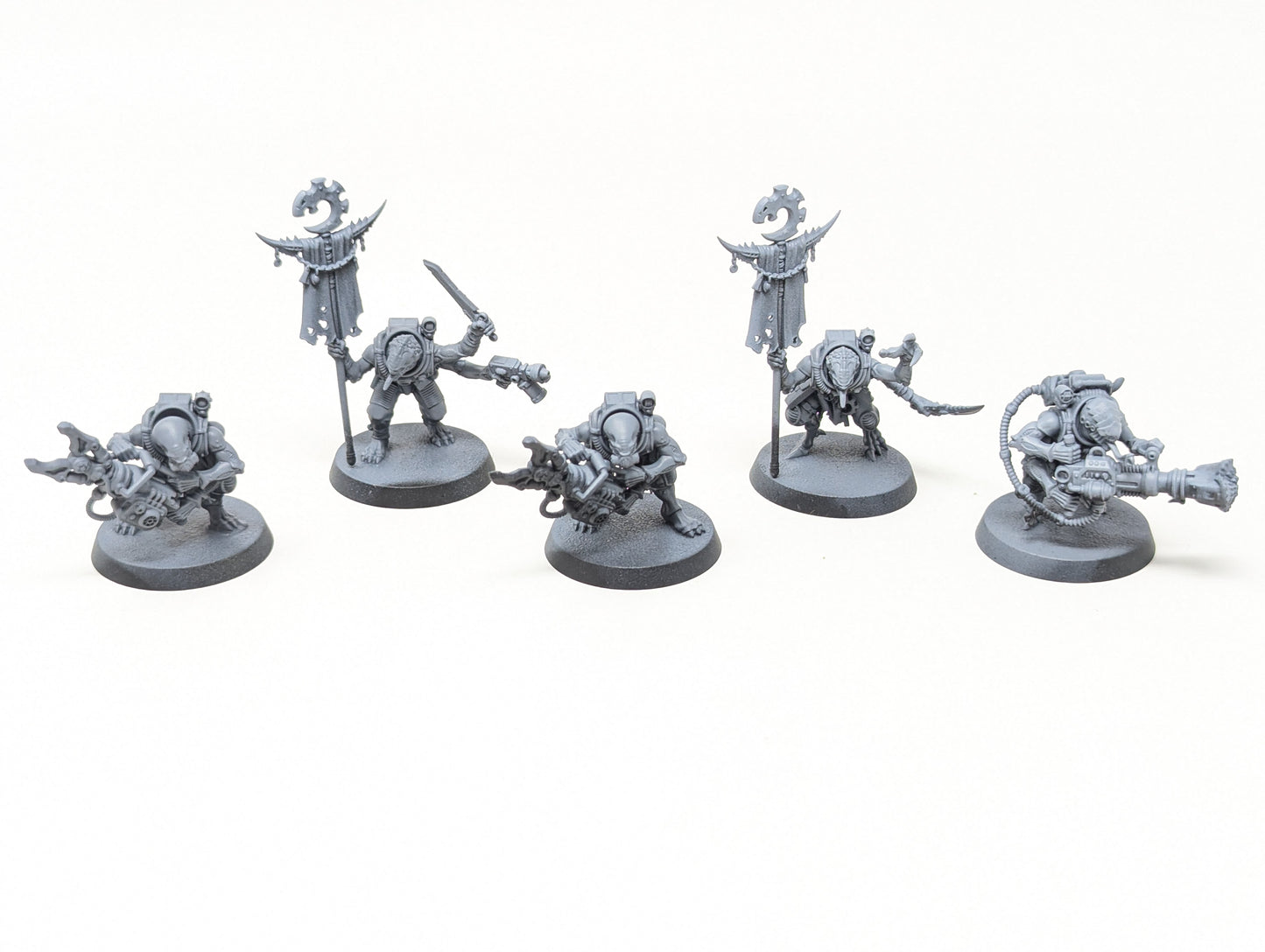 Acolyte Hybrids