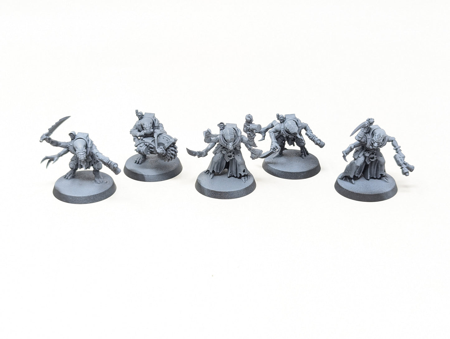 Acolyte Hybrids