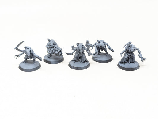 Acolyte Hybrids