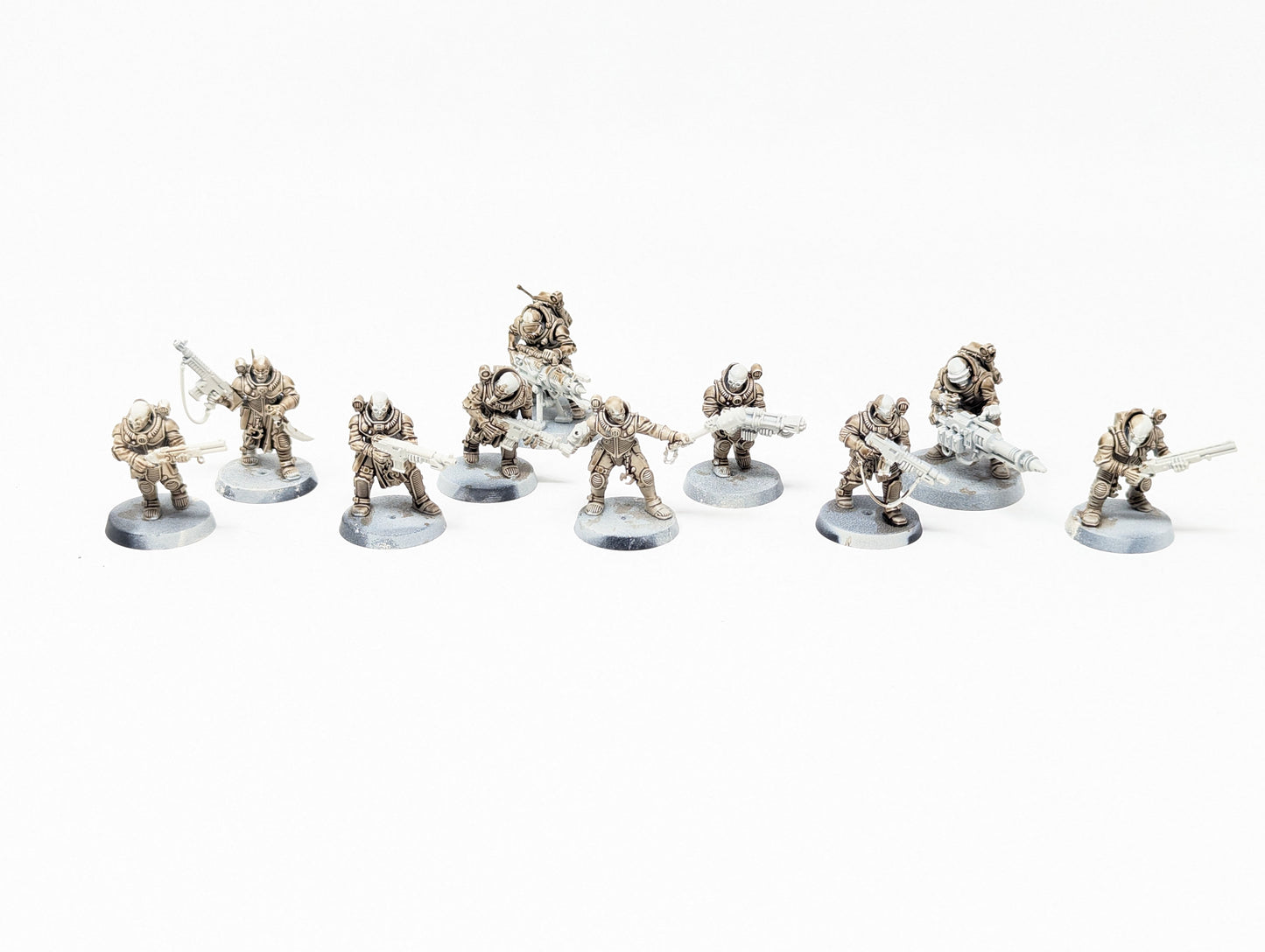 Neophyte Hybrids