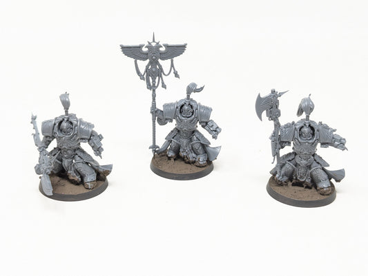 Vexilus Praetor in Allarus Terminator Armour with Allarus Custodians