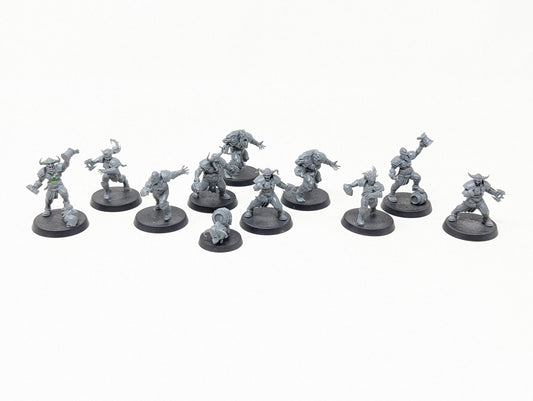Norse Blood Bowl Team