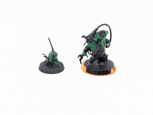 Painboy with his Grot Orderly