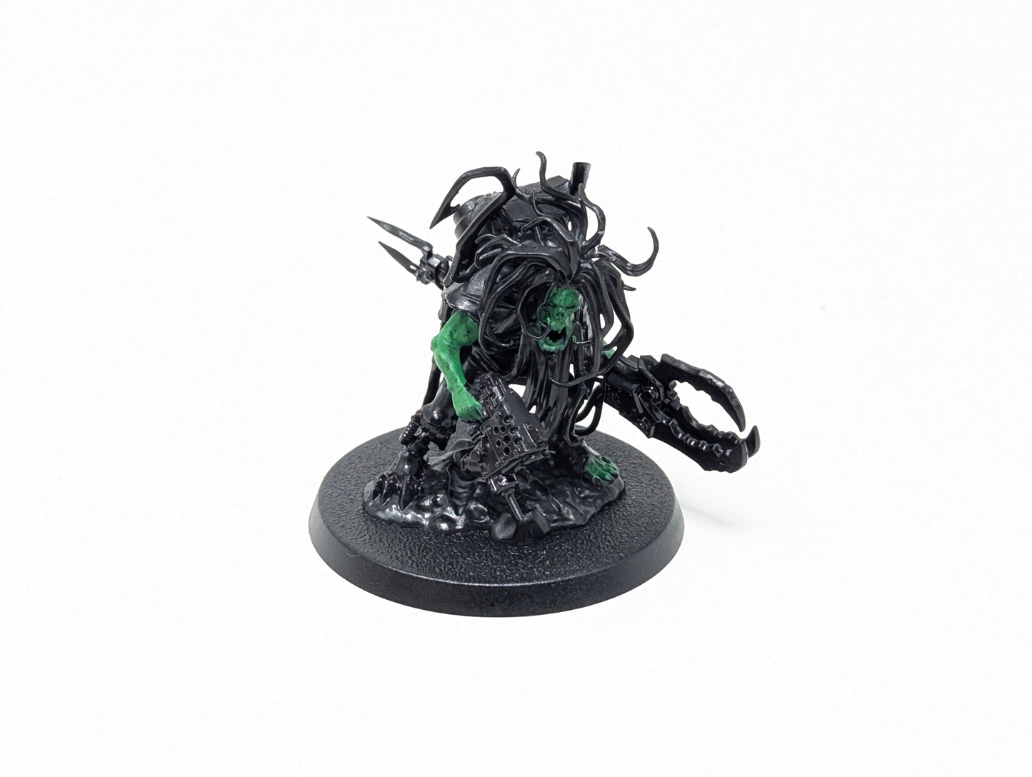 Zodgrod Wortsnagga
