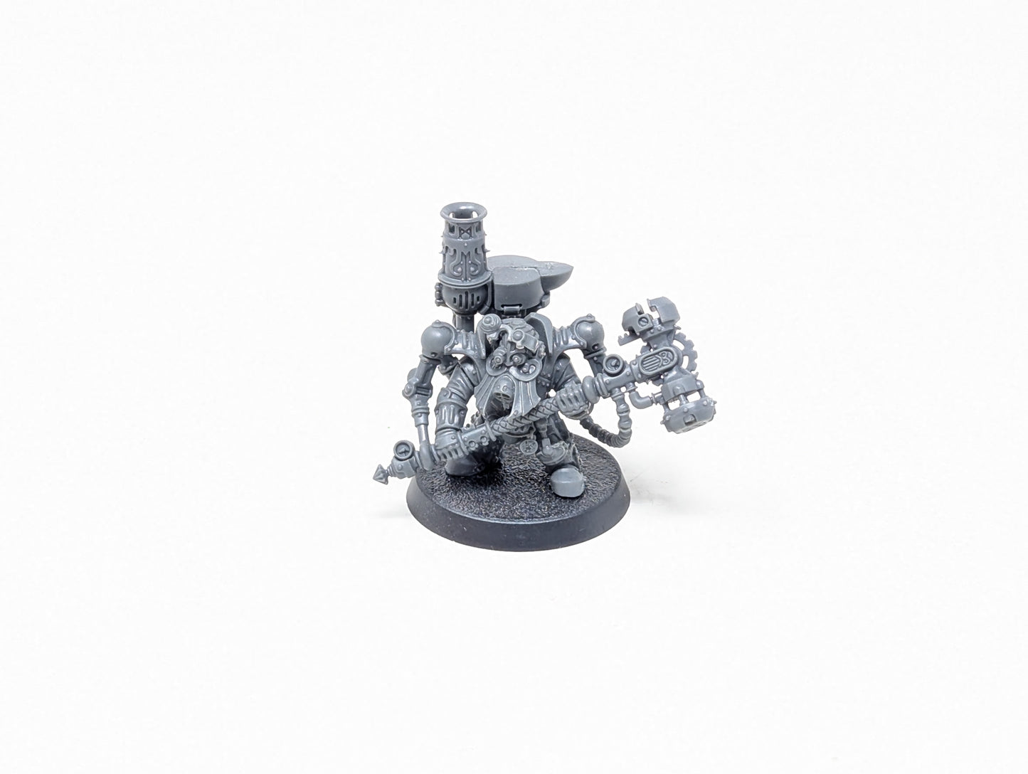 Endrinmaster with Endrinharness