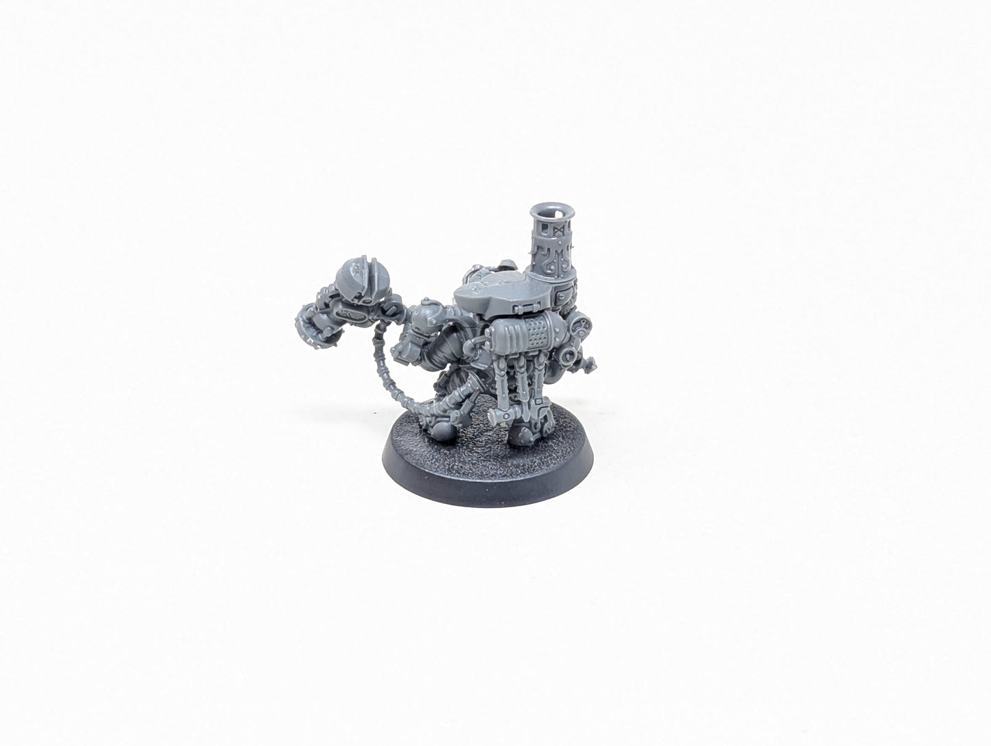 Endrinmaster with Endrinharness