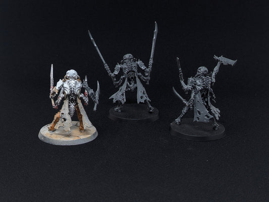 Necropolis Stalkers