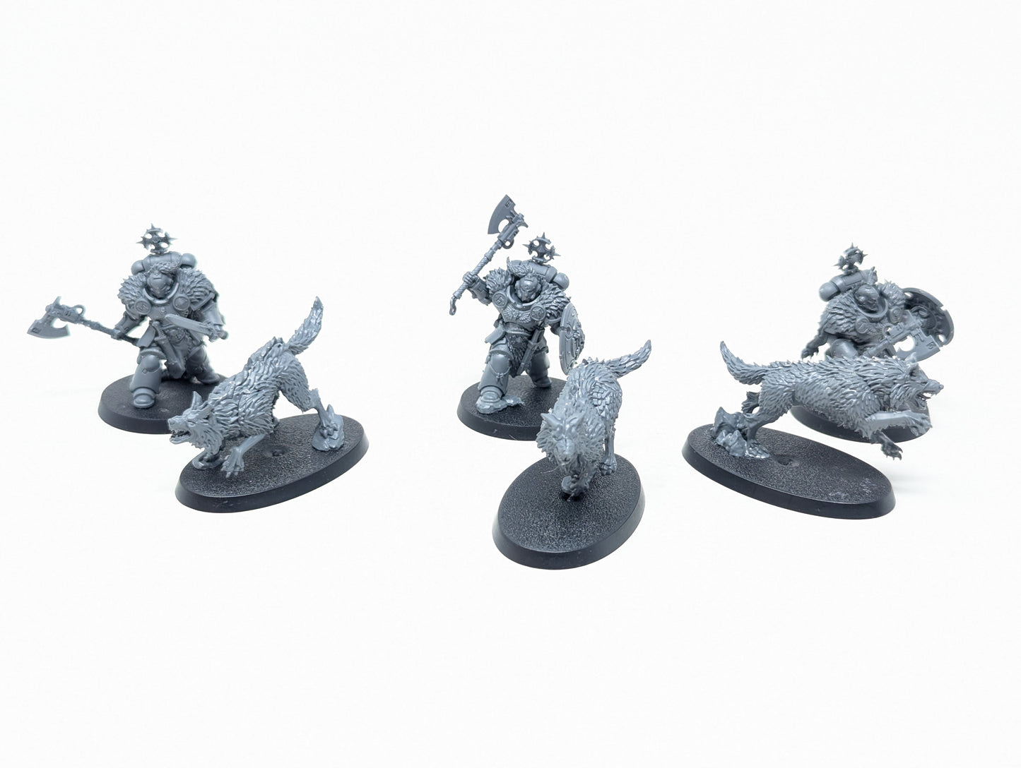 Wolf Guard Headtakers