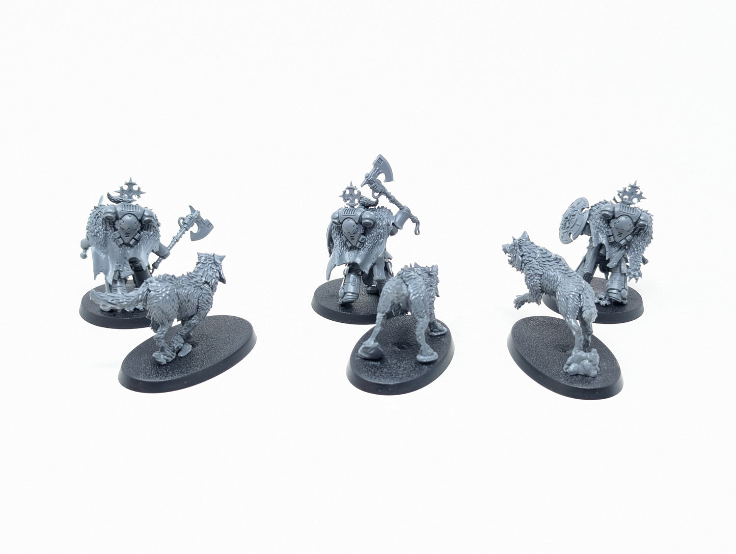Wolf Guard Headtakers