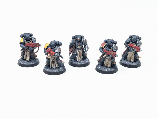 Sternguard Veteran Squad (Tabletop)