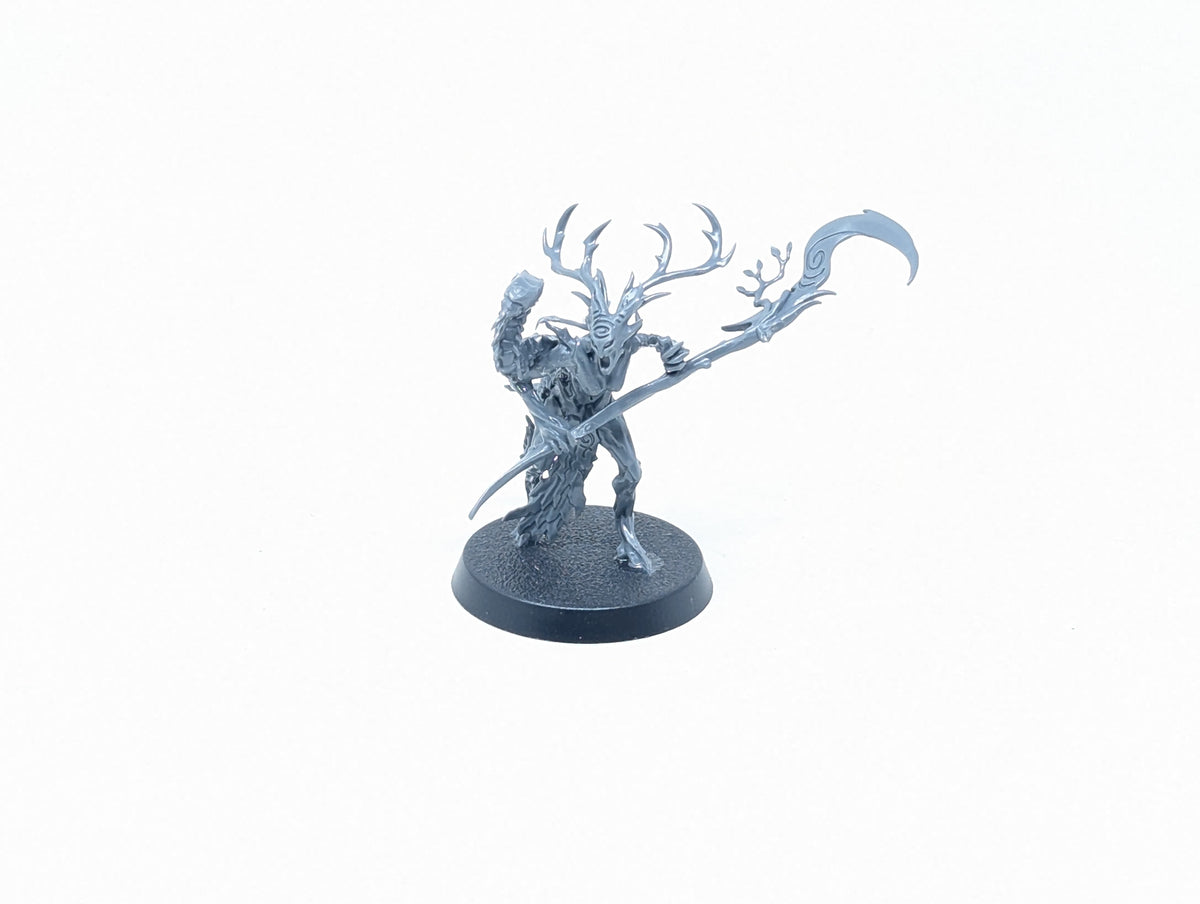 Branchwych
