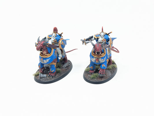 Tempestors (Well Painted)