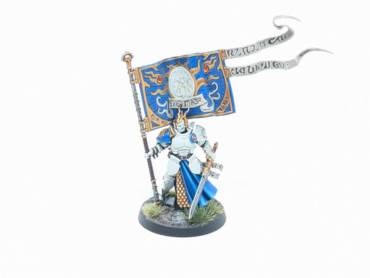 Knight-Vexilor (Well Painted)