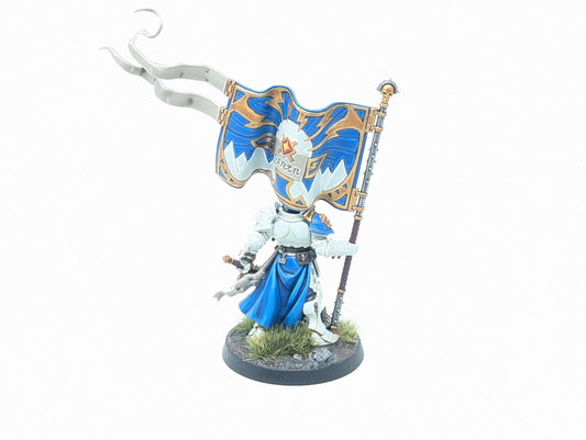Knight-Vexilor (Well Painted)