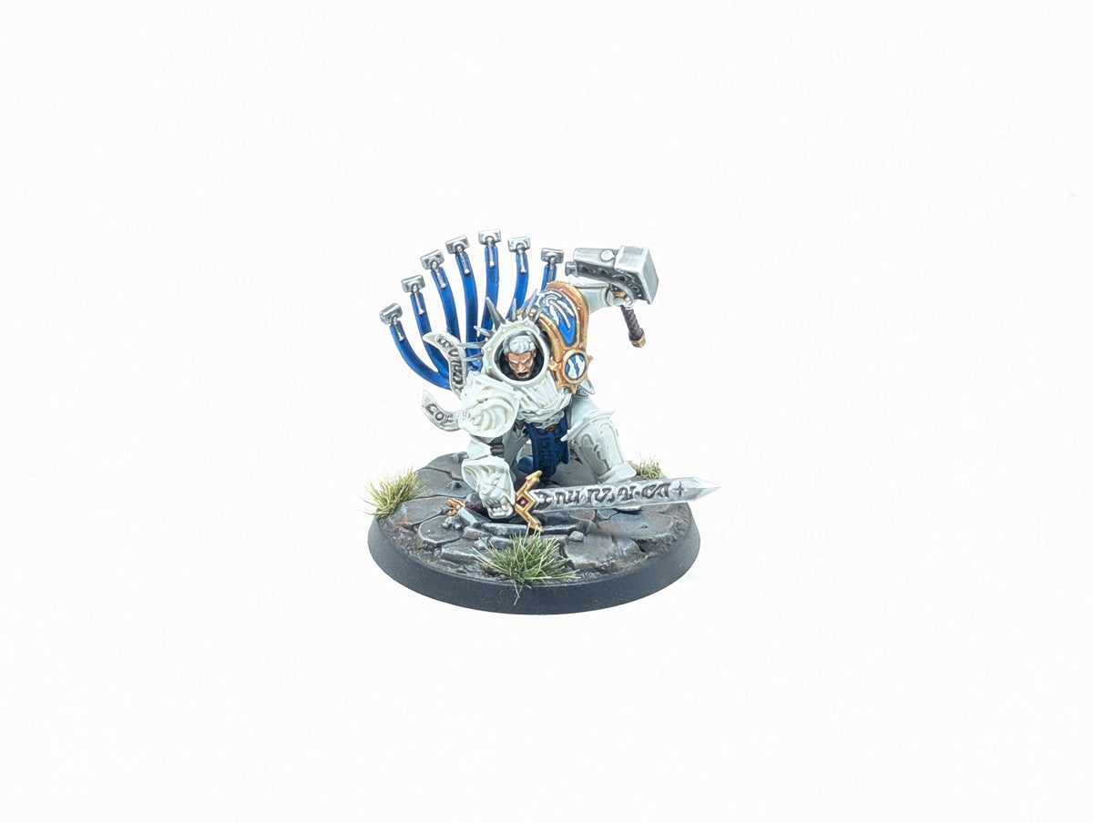 Gardus Steel Soul (Well Painted)