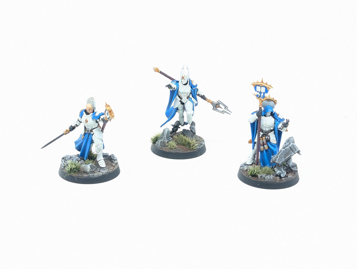 Stormcoven (Well Painted)