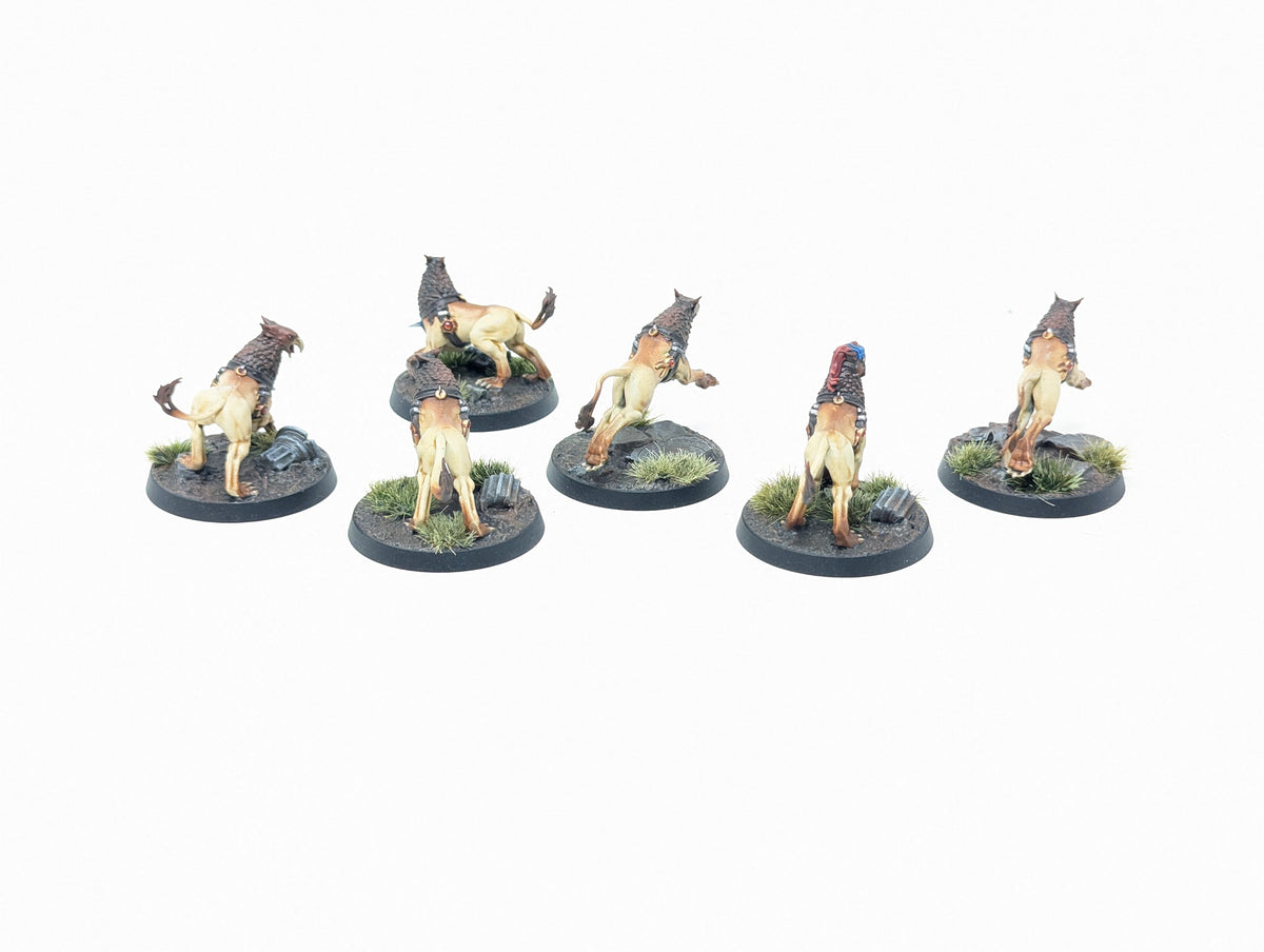 Gryph-hounds (Well Painted)