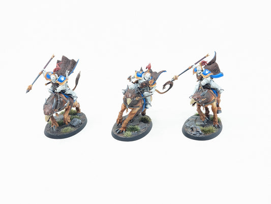 Vanguard-Palladors (Well Painted)