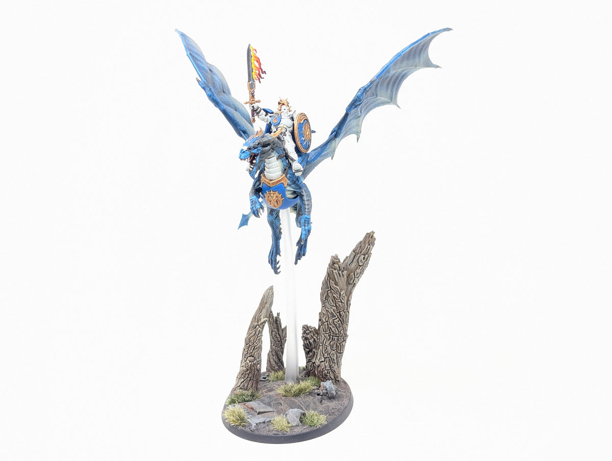 Knight-Draconis (Well Painted)