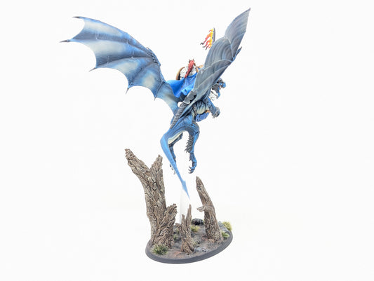 Knight-Draconis (Well Painted)