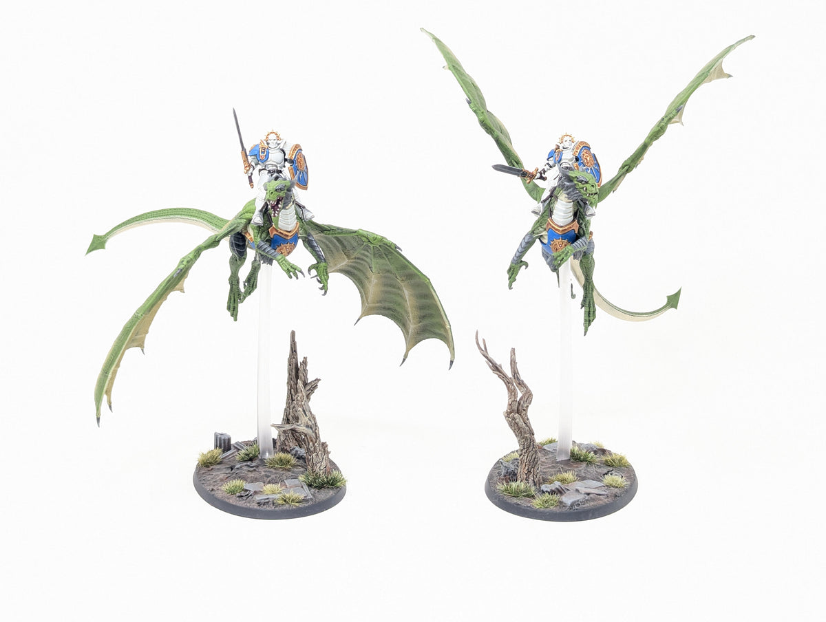 Stormdrake Guard (Well Painted)