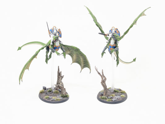 Stormdrake Guard (Well Painted)