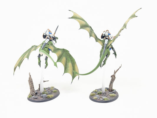Stormdrake Guard (Well Painted)