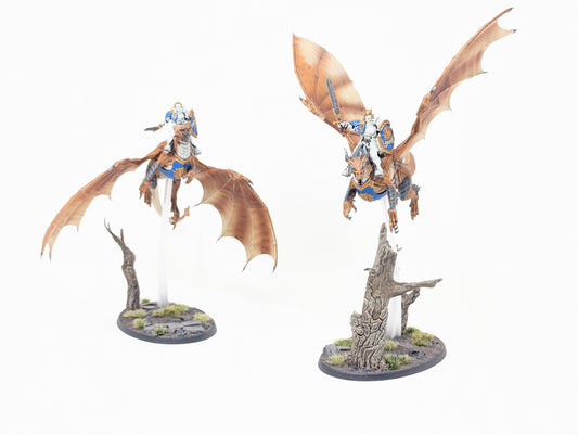 Stormdrake Guard (Well Painted)