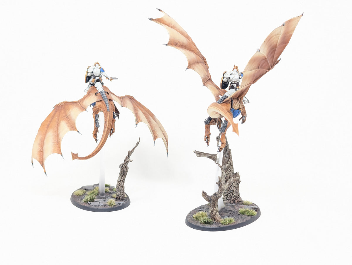 Stormdrake Guard (Well Painted)