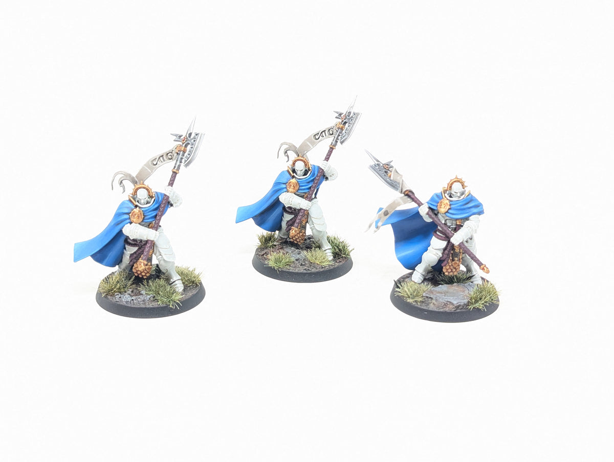 Praetors (Well Painted)