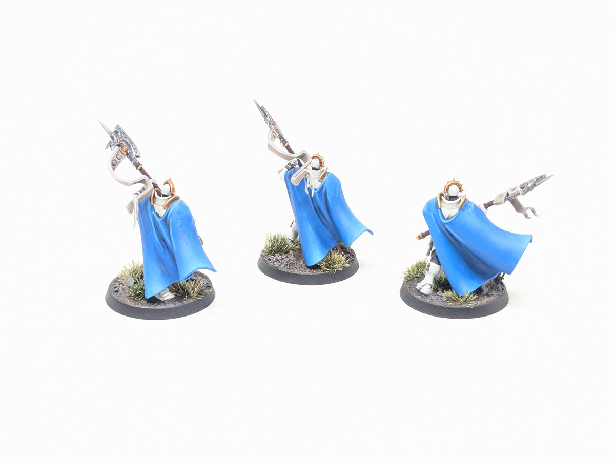 Praetors (Well Painted)