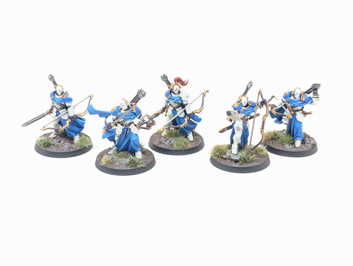 Vigilors (Well Painted)