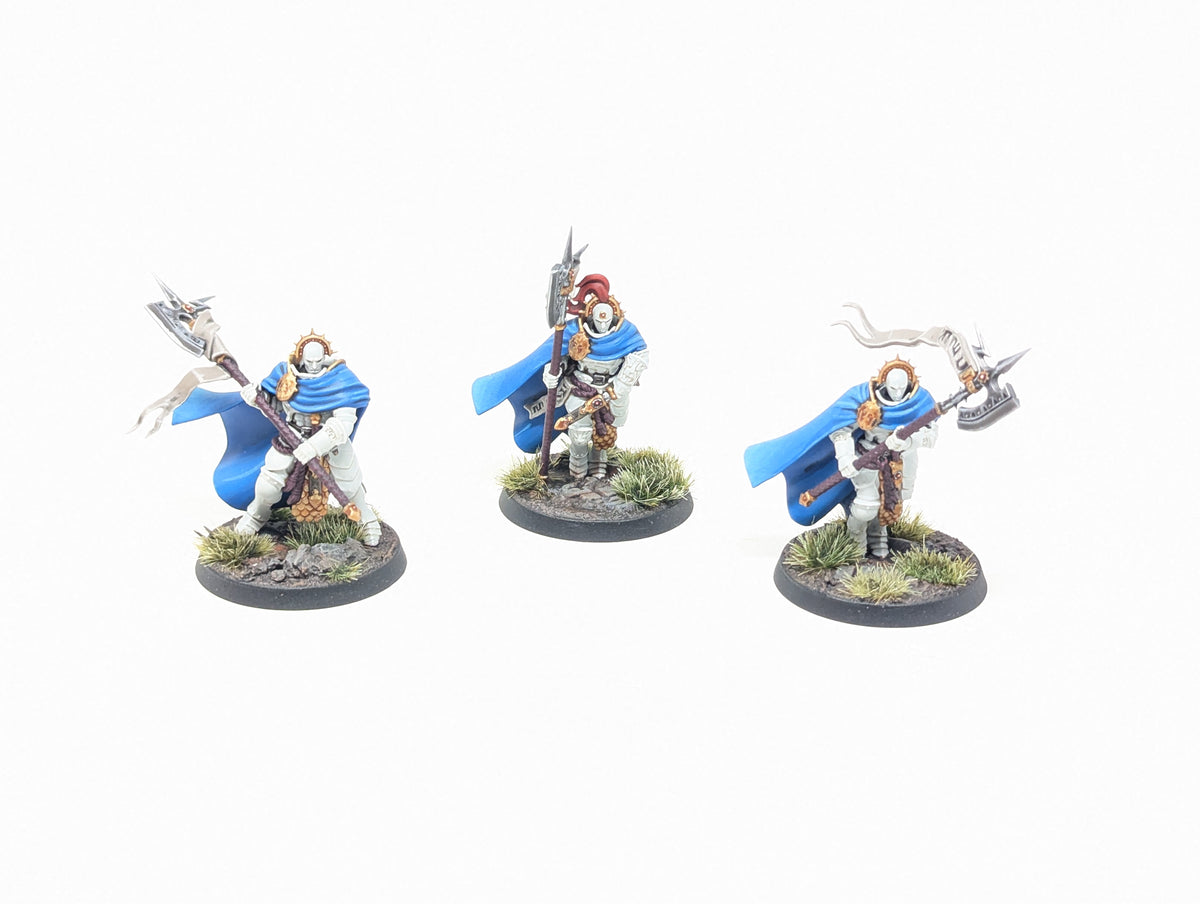 Praetors (Well Painted)