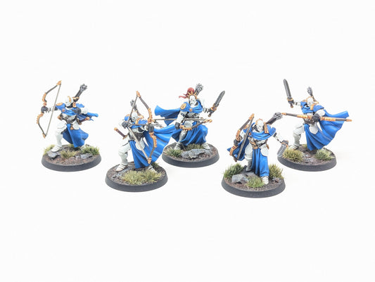 Vigilors (Well Painted)