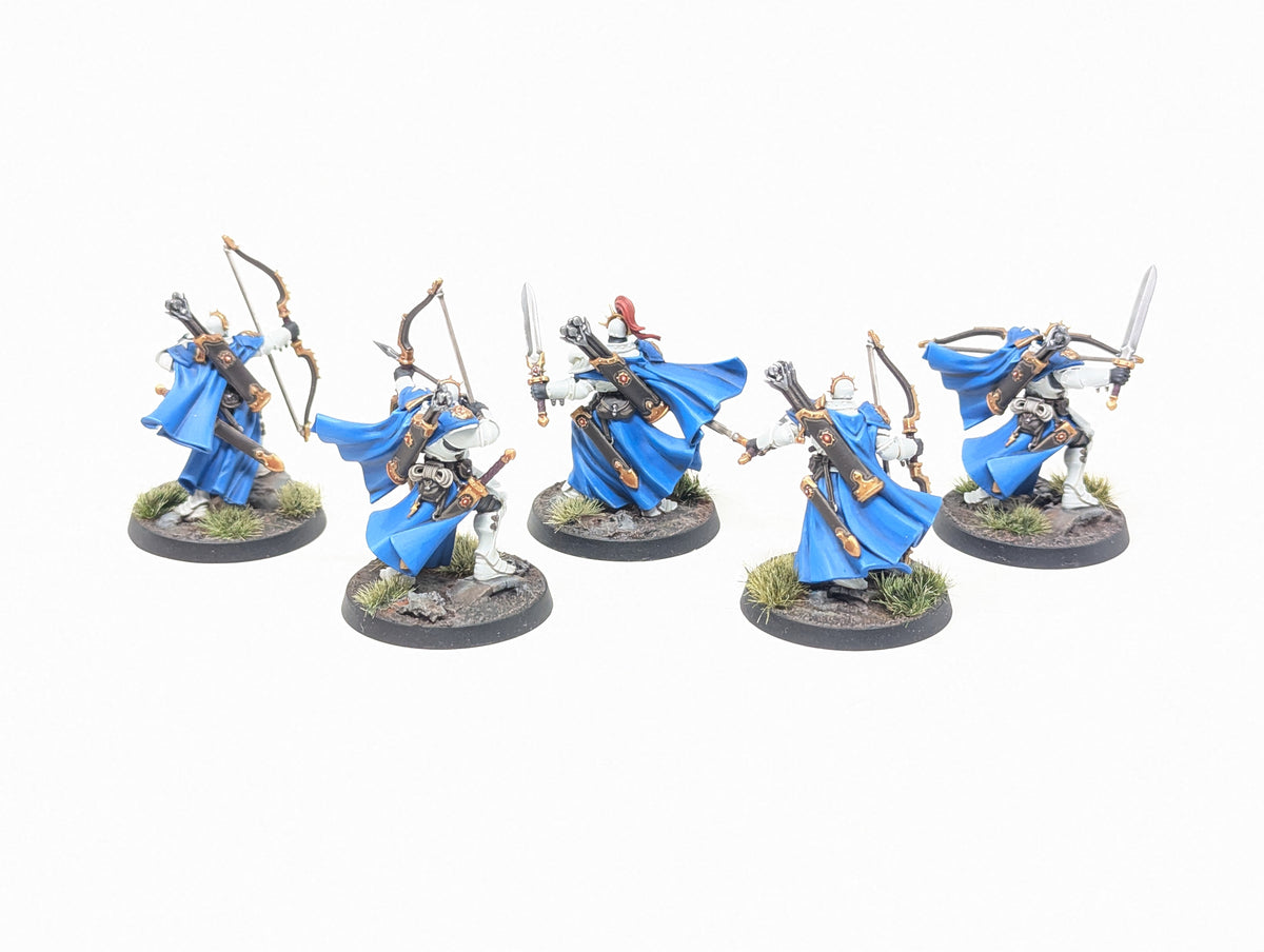 Vigilors (Well Painted)